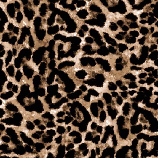 Close-up of a leopard print pattern