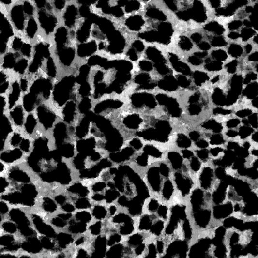 Close-up of a textured surface with black and white pattern